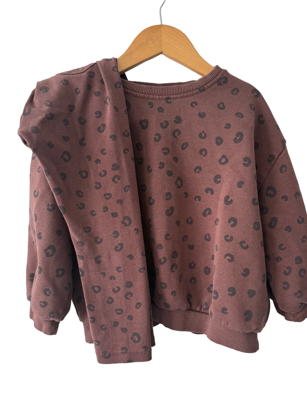 Zara Leopard-Print Matching Leggings & Sweater Set